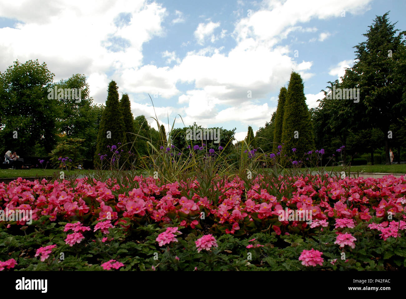 Regent's Park é um dos Parques Reais. Dentro dele ficam o Zoológico de Londres e o Regent`s Park. O Parque com 166 hectares é  cuidado, mantido e preservado, pelo Royal Parks, uma organização dentro do Governo Britânico. Londres/Lo, Reino Unido - 16/06/2009. Foto: André Stefano / Fotoarena Stock Photo